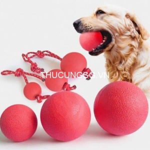 Đồ chơi banh cao su có dây