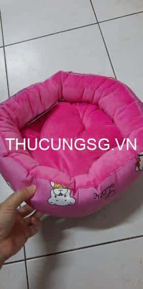 kiotviet_081caf89fe53e53a45af1b478777f9fe kiotviet_081caf89fe53e53a45af1b478777f9fe
