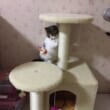 kiotviet_0a5fc4c7b5cc422d769badf86b330eab