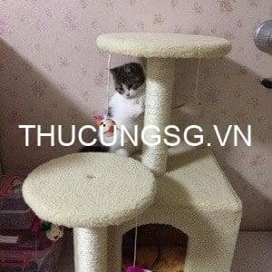 kiotviet_0a5fc4c7b5cc422d769badf86b330eab