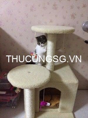 kiotviet_0a5fc4c7b5cc422d769badf86b330eab kiotviet_0a5fc4c7b5cc422d769badf86b330eab