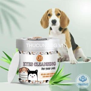 Bông lau mắt cho chó Q8(Hộp 100pcs)