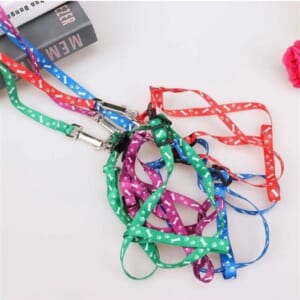 Dây dắt và yếm vải mềm họa tiết bản 1.5cm