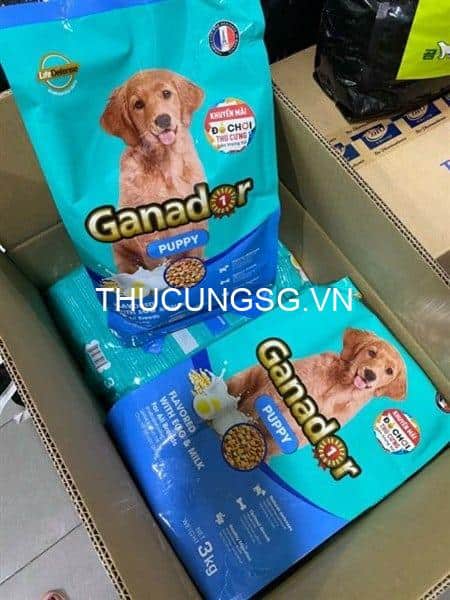 kiotviet_11039f44fb90afed01c9c9a85cacd266 kiotviet_11039f44fb90afed01c9c9a85cacd266