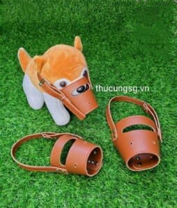 Khớp mõm da DM