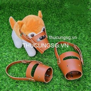 Khớp mõm da DM