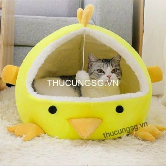kiotviet_1282d36e0f1e3d15853a6c0763ca72c5