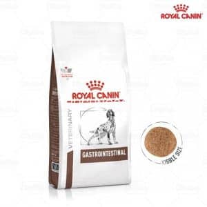 Hạt cho chó bệnh tiêu hóa Gastro Intestinal gói 2kg