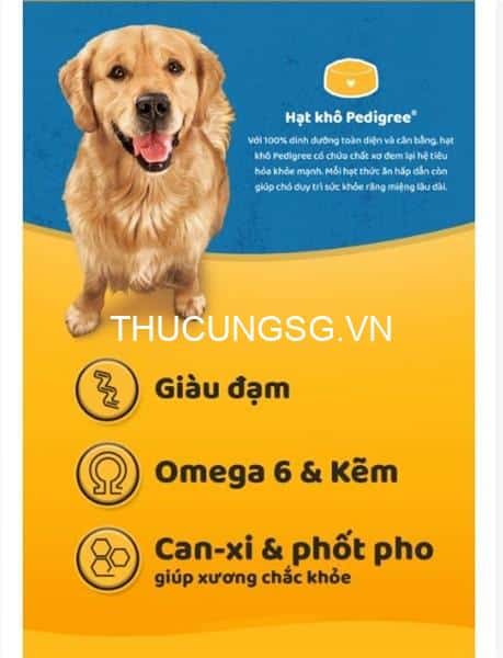 kiotviet_15431ae3c9e74d2b0a17a941462782e8 kiotviet_15431ae3c9e74d2b0a17a941462782e8