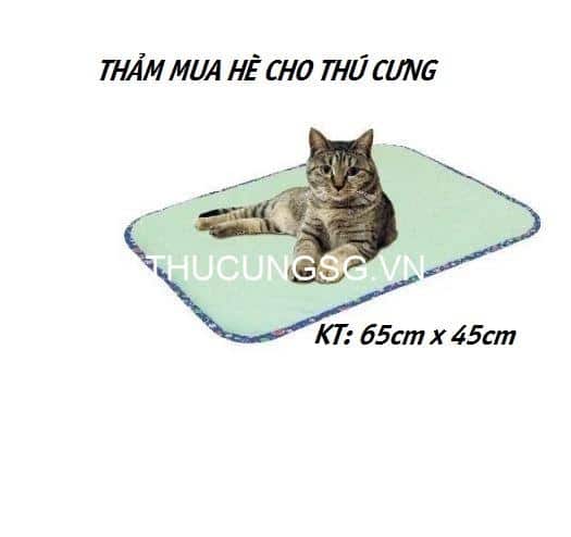 kiotviet_1889a40ef57c72f15c143a12b875e2c9 kiotviet_1889a40ef57c72f15c143a12b875e2c9