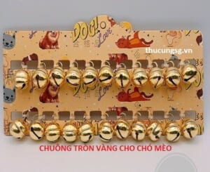 Chuông vàng - cái