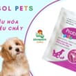 kiotviet_1a60475735492bd118c245b3447342fd