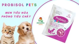 Probisol pets men tiêu hóa 5g - Gói