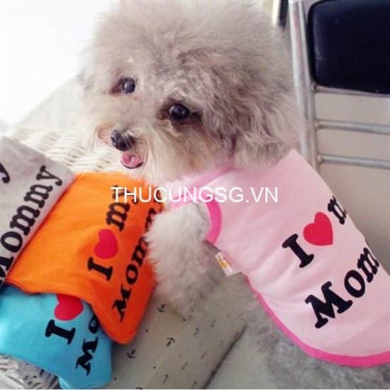 kiotviet_200d12afe30903ff11a3bae8d4ce2cdd kiotviet_200d12afe30903ff11a3bae8d4ce2cdd