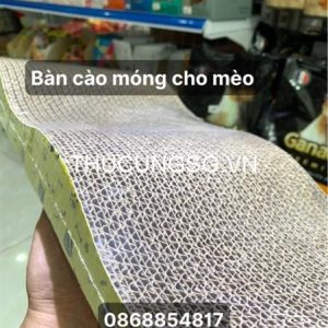kiotviet_274fe61b72ce7f50287a88aadf5dc513