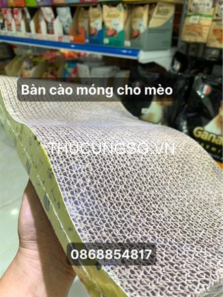 kiotviet_274fe61b72ce7f50287a88aadf5dc513 kiotviet_274fe61b72ce7f50287a88aadf5dc513