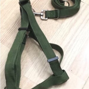Dây dắt và yếm xanh bộ đội 2.5x120
