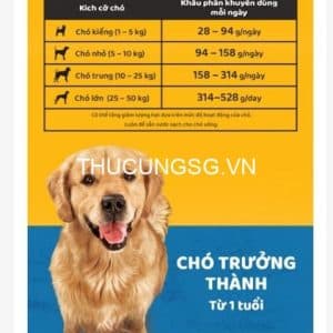 kiotviet_3204353c580cabbdce8e91627fc21af0