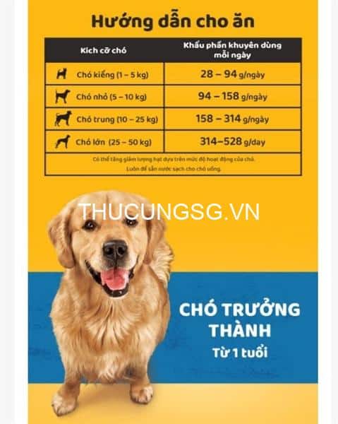 kiotviet_3204353c580cabbdce8e91627fc21af0 kiotviet_3204353c580cabbdce8e91627fc21af0