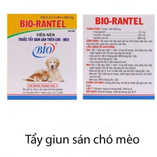 kiotviet_3983293bad2bfb772fafbd6fa8ca5dce
