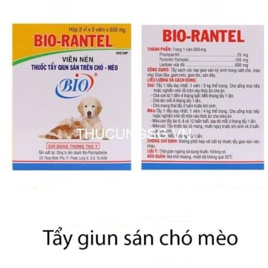 kiotviet_3983293bad2bfb772fafbd6fa8ca5dce kiotviet_3983293bad2bfb772fafbd6fa8ca5dce