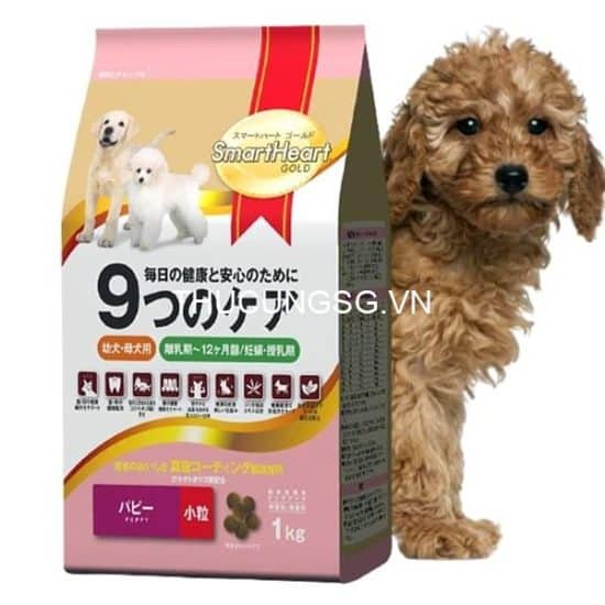 kiotviet_3b8b1e785c12ef04f81e7be9122ea3cf kiotviet_3b8b1e785c12ef04f81e7be9122ea3cf