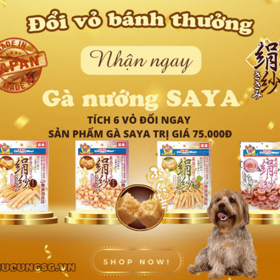 kiotviet_415b10a6609e5861425421631c7d7c44 kiotviet_415b10a6609e5861425421631c7d7c44