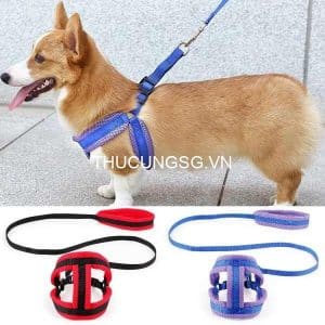 Dây dắt và đai yếm lưới chó mèo