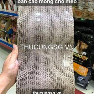 Bàn cào móng cho mèo mẫu lượn sóng