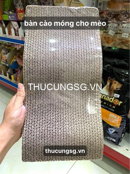 kiotviet_4b0431b90841c610fd3b422603ab51ba kiotviet_4b0431b90841c610fd3b422603ab51ba