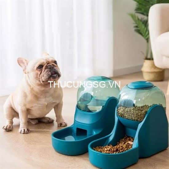 kiotviet_4d170eb81be3d19facf1eea14e05370c