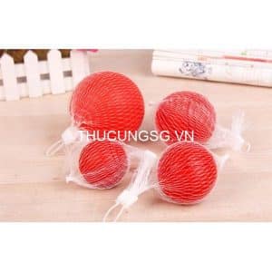 Đồ chơi bóng cao su loại đặc cỡ đại