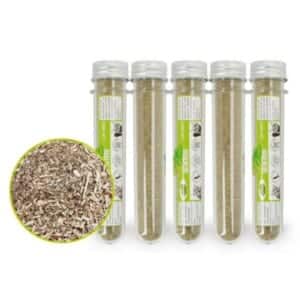 Catnip ống cỏ mèo - Tuýp