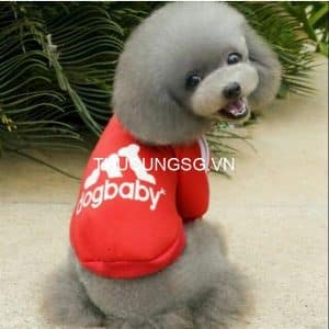 Áo thun dogbaby
