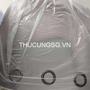 Balo trong suốt loại thường