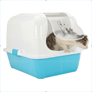 Nhà vệ sinh mèo kitty thường - Cái