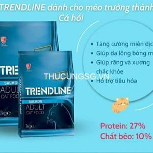 Thức ăn mèo lớn TrendLine Adult 1kg cá hồi - bao