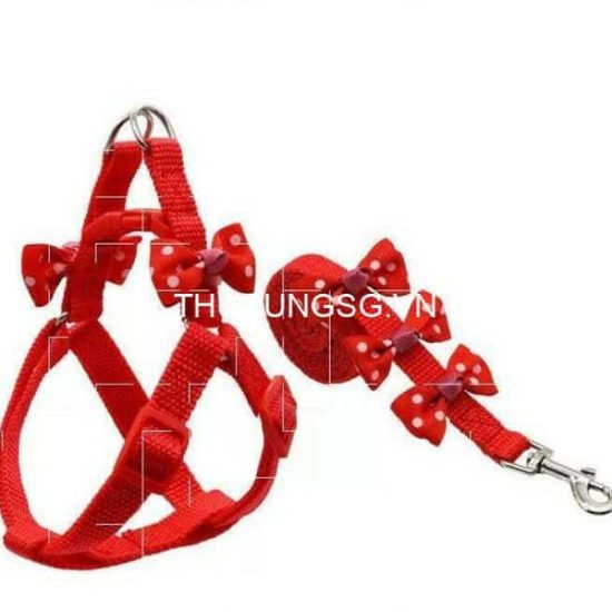 kiotviet_61f3fae9c2b4aeadc320d78f55997597 kiotviet_61f3fae9c2b4aeadc320d78f55997597