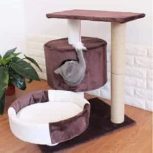 Trụ cào móng cho mèo nhà tròn cattree