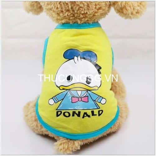 kiotviet_67c61810e548bb73de29db055da7bbee kiotviet_67c61810e548bb73de29db055da7bbee