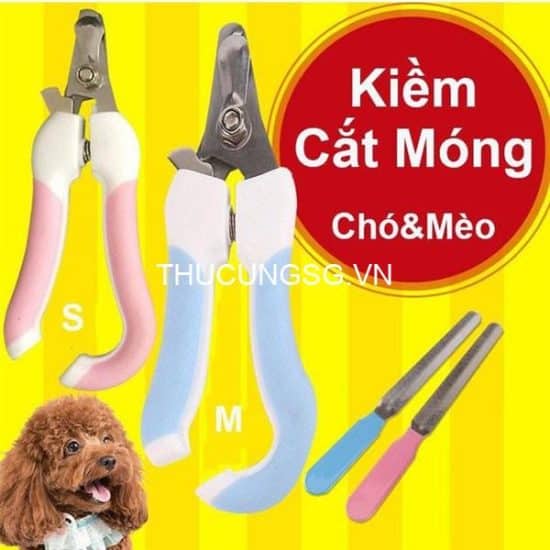 kiotviet_684e9fa8eb485b687d01f12def23fa0e