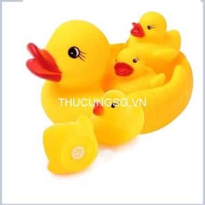 Vịt đồ chơi chó mèo