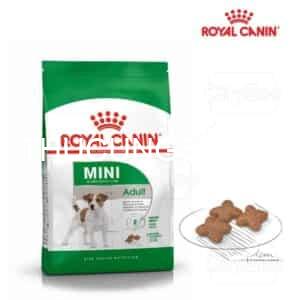 Thức ăn chó Royal Canin Mini Adult 800g