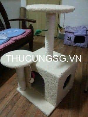 kiotviet_6c5a3a49d9d79d2e2a72ea198cee9c54 kiotviet_6c5a3a49d9d79d2e2a72ea198cee9c54