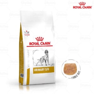 Hạt cho chó sỏi thận Royal Canin Urinary S/O gói 2kg