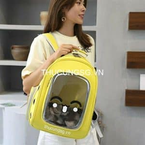Balo vận chuyển chó mèo kính nhựa dẻo - cái