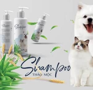 Dầu tắm thảo mộc Vemedim chó mèo