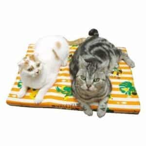 Nệm hình chữ nhật