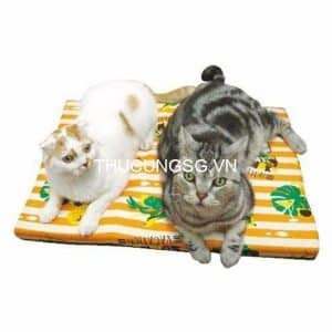 Nệm hình chữ nhật