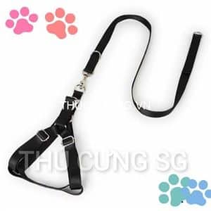 Dây dắt và yếm khóa inox cao cấp chó lớn